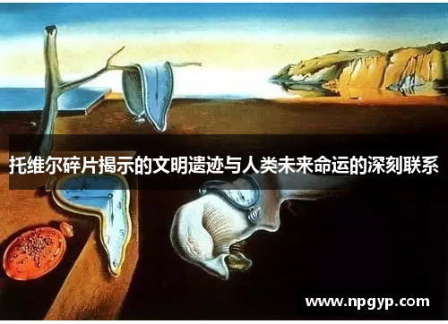 托维尔碎片揭示的文明遗迹与人类未来命运的深刻联系